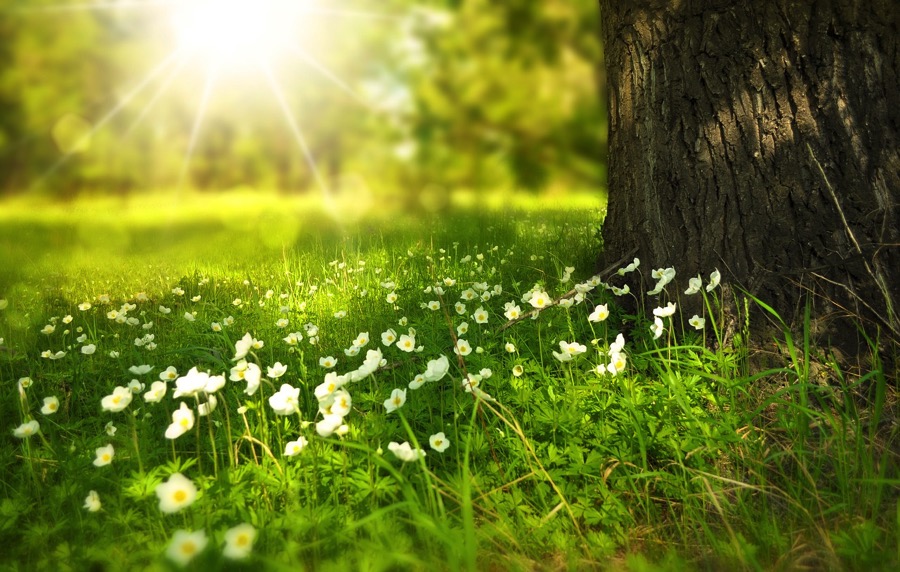 Spring 276014 1280
